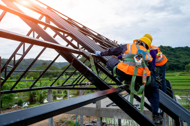 Best Metal Roofing Contractor  in Algonquin, IL
